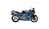 Kawasaki ZZR600 Fairings Australia