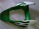 2006-2007 White Green Flame Honda CBR1000RR Motorcycle Fairings Australia