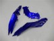 2013-2024 Blue Black White Flame Kawasaki Ninja 300 EX300R Motorcycle Fairings Australia