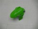 2013-2024 White Green Black Kawasaki Ninja 300 EX300R Motorcycle Fairings Australia