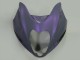 1996-2007 Chameleon Grey Dazz Pearl Purple Suzuki GSXR 1300 Hayabusa Motorcycle Fairings Australia