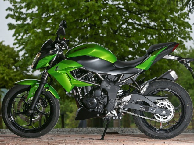 2015-2016 Green Matte Black Kawasaki Z250/Z300 Motorcycle Fairings Australia