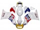 1984-1987 White Red Blue Yellow Motul Michelin Pepsi Suzuki RG400 RG500 RG400/500 Motorcycle Fairings Australia