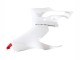 2020-2024 White Red Matte Black Ducati Panigale V2 Motorcycle Fairings Australia