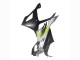 2023-2024 Silver Matte Black Lime Green BMW S1000RR Motorcycle Fairings Australia