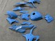 2023-2024 Glossy Blue BMW S1000RR Motorcycle Fairings Australia