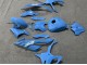 2023-2024 Glossy Blue BMW S1000RR Motorcycle Fairings Australia