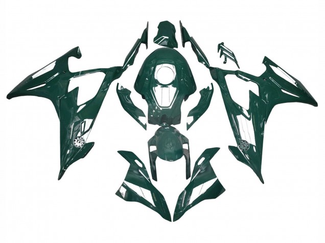 2019-2022 Glossy Dark Green BMW S1000RR Motorcycle Fairings Australia