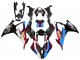 2019-2022 Black Red Blue BMW S1000RR Motorcycle Fairings Australia