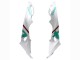 2017-2018 White Green BMW S1000RR Motorcycle Fairings Australia