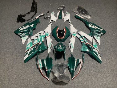 2017-2018 White Green BMW S1000RR Motorcycle Fairings Australia