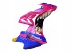 2015-2016 Pink Blue Shark BMW S1000RR Motorcycle Fairings Australia