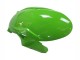 2023-2025 Green Black Kawasaki ZX6R Motorcycle Fairings Australia
