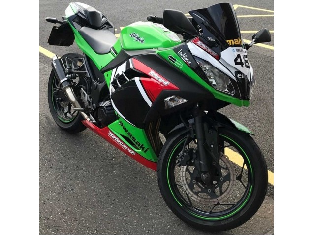 2013-2024 Green White Red Black Elf Kawasaki EX300 Motorcycle Fairings Australia