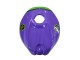 2006-2011 Purple Green Red Aprilia RS125 Motorcycle Fairings Australia