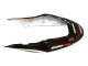 2004-2007 White Glossy Black Red Repsol Honda CBR600 F4i Motorcycle Fairings Australia