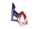 2000-2001 Silver Red Blue Honda CBR900RR 929 Motorcycle Fairings Australia