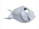 2004-2005 Pearl White Honda CBR1000RR Motorcycle Fairings Australia