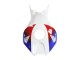 2006-2007 White Red Blue HRC Honda CBR1000RR Motorcycle Fairing Australia