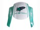 2005-2006 Light Green White Glossy Black Joe Rocket Honda CBR600RR Motorcycle Fairings Australia