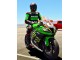2011-2015 Green Yellow White Black Red Pirelli Kawasaki ZX10R Motorcycle Fairings Australia