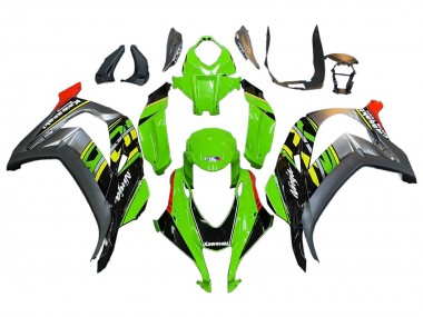 2016-2020 Green Red Grey Kawasaki ZX10R Motorcycle Fairings Australia