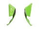 2021-2025 Green Black Red Kawasaki ZX10R Motorcycle Fairings Australia