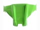2021-2025 Green Black Red Kawasaki ZX10R Motorcycle Fairings Australia