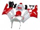 2003-2004 White Red Kawasaki ZX6R Motorcycle Fairings Australia
