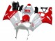 2003-2004 White Red Kawasaki ZX6R Motorcycle Fairings Australia