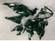 2019-2022 Dark Green Kawasaki ZX6R Motorcycle Fairings Australia
