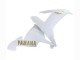 2002-2003 White Gold Decals Yamaha YZF 1000 R1 Motorcycle Fairings Australia