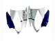 2006-2007 White Blue Jordan Yamaha YZF 600 R6 Motorcycle Fairings Australia