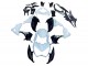 2013-2018 White Glossy Black Green Kawasaki Z800 Motorcycle Fairings Australia
