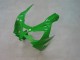 2000-2001 Green Silver Black Kawasaki ZX9R Motorcycle Fairings Australia