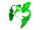 2000-2001 Green Kawasaki ZX9R Motorcycle Fairings Australia